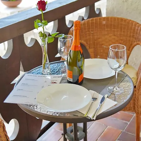 Alpen Hotel 