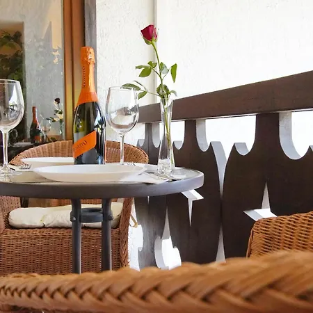 Alpen Hotel 