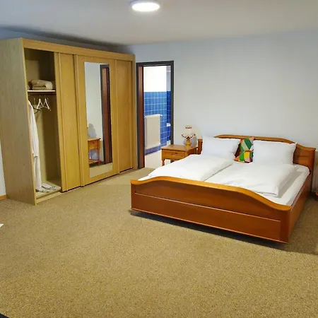 Alpen Hotel 