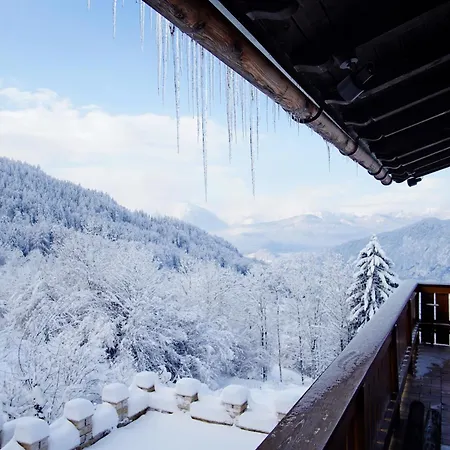 Alpen Hotel 