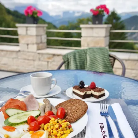 Alpen Hotel 