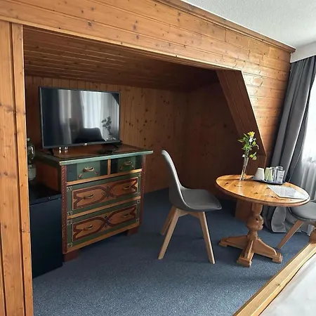 Alpen Hotel 