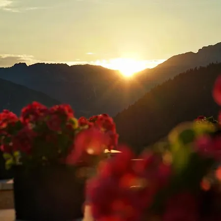 Alpen Hotel 