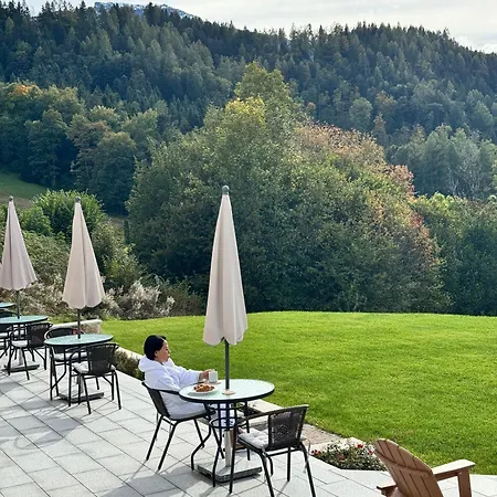 Alpen Hotel 