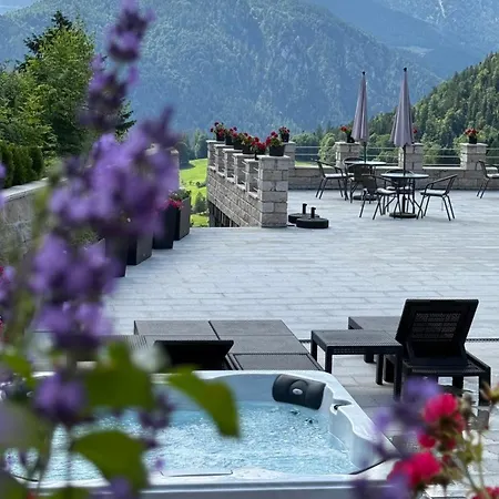 Alpen Hotel 